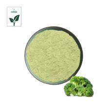 Hot Sale Broccoli Powder